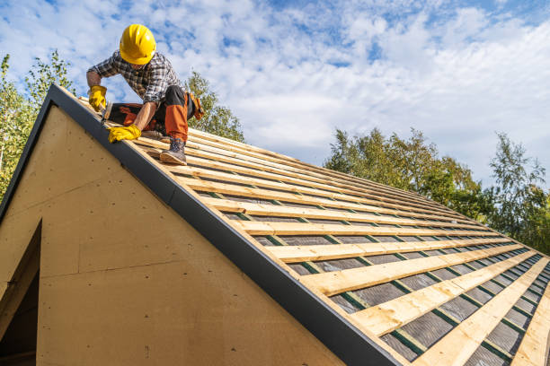 Best Metal Roofing Contractor  in Wright City, MO