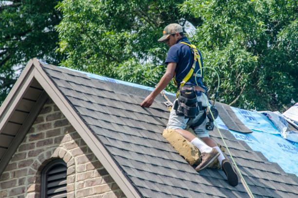 Best Roofing Contractor Near Me  in Wright City, MO